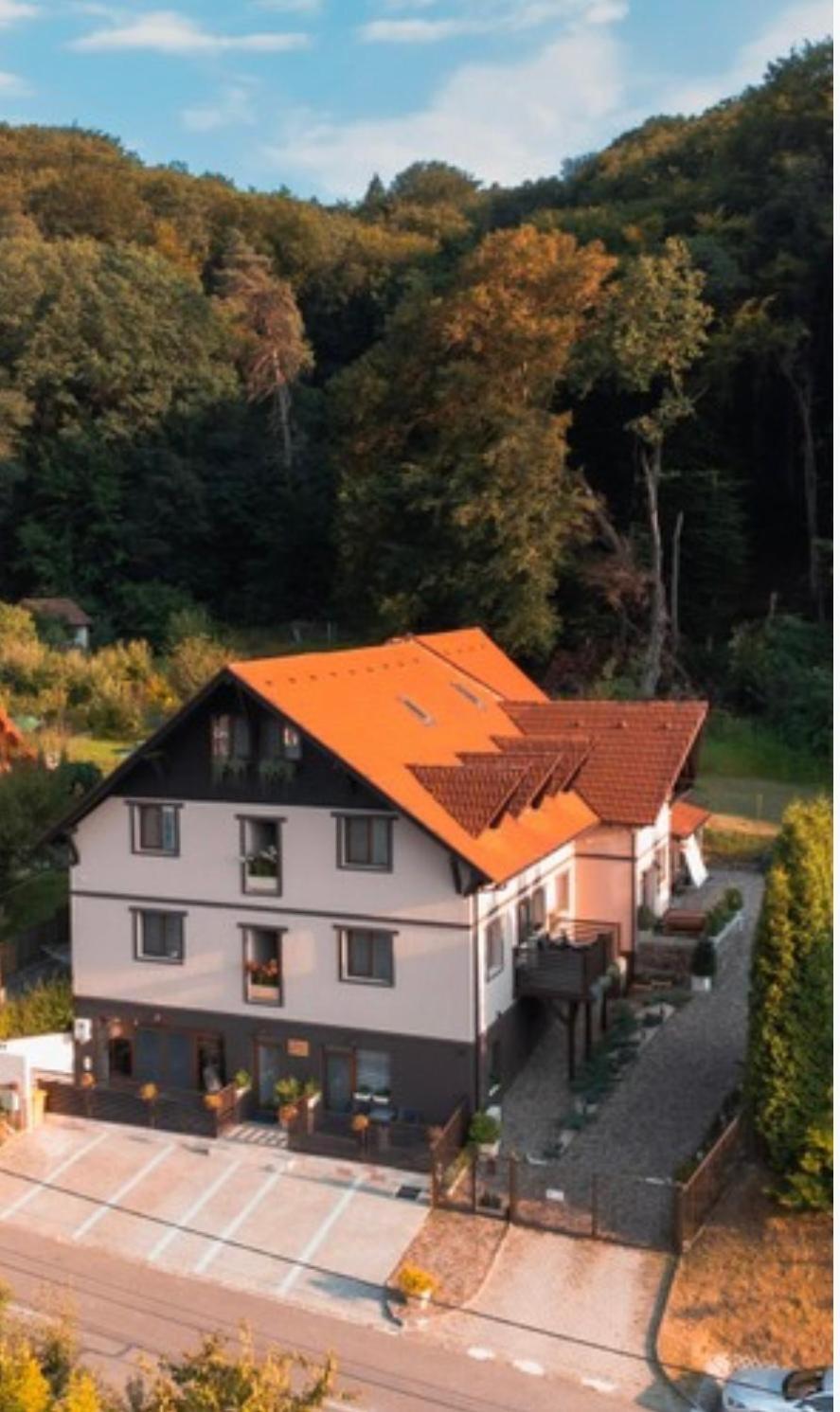 Silvan Villa - Apart Sighişoara Exterior foto